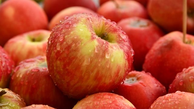 Discover organic sparkling apple juice, an elegant celebration of nature